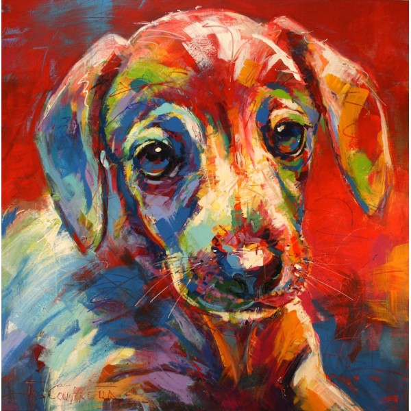 Daschund